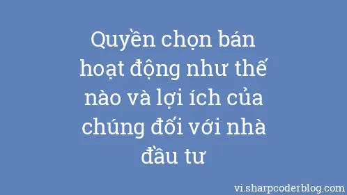 Quyền chọn bán hoạt động như thế nào và lợi ích của chúng đối với nhà đầu tư - Thumbnail