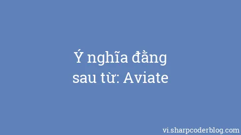 Ý nghĩa đằng sau từ: Aviate - Thumbnail