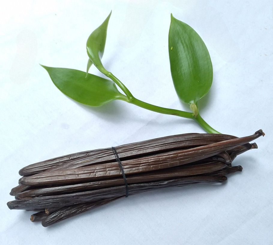 Đậu vani hữu cơ.